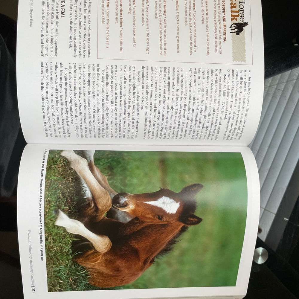 The Original Horse Bible Educational Reference with over 500+photos inside. - Picture 8 of 10
